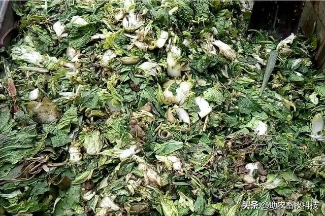 果蔬廢棄物垃圾怎樣進(jìn)行科學(xué)資源化無害化減量化處理？